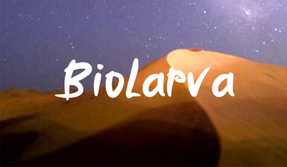 Biolarfa: A Script Font That Elevates Campaign Design