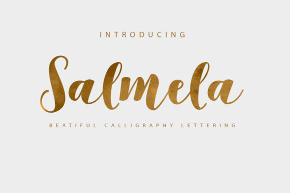 Discover the Power of Salmela for Your Brand