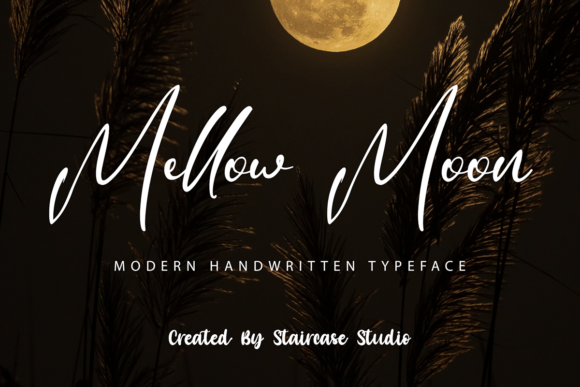 Mellow Moon Font for Modern Branding and Design