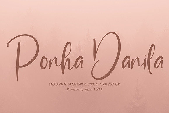 Ponha Danila: A Delicate Display Font for Web Design
