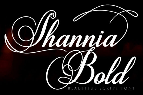 Shannia Bold: A Modern Script Font for Campaign Creatives