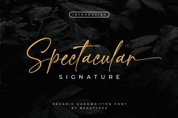 Spectacular Signature: A Handwritten Font for Branding Magic